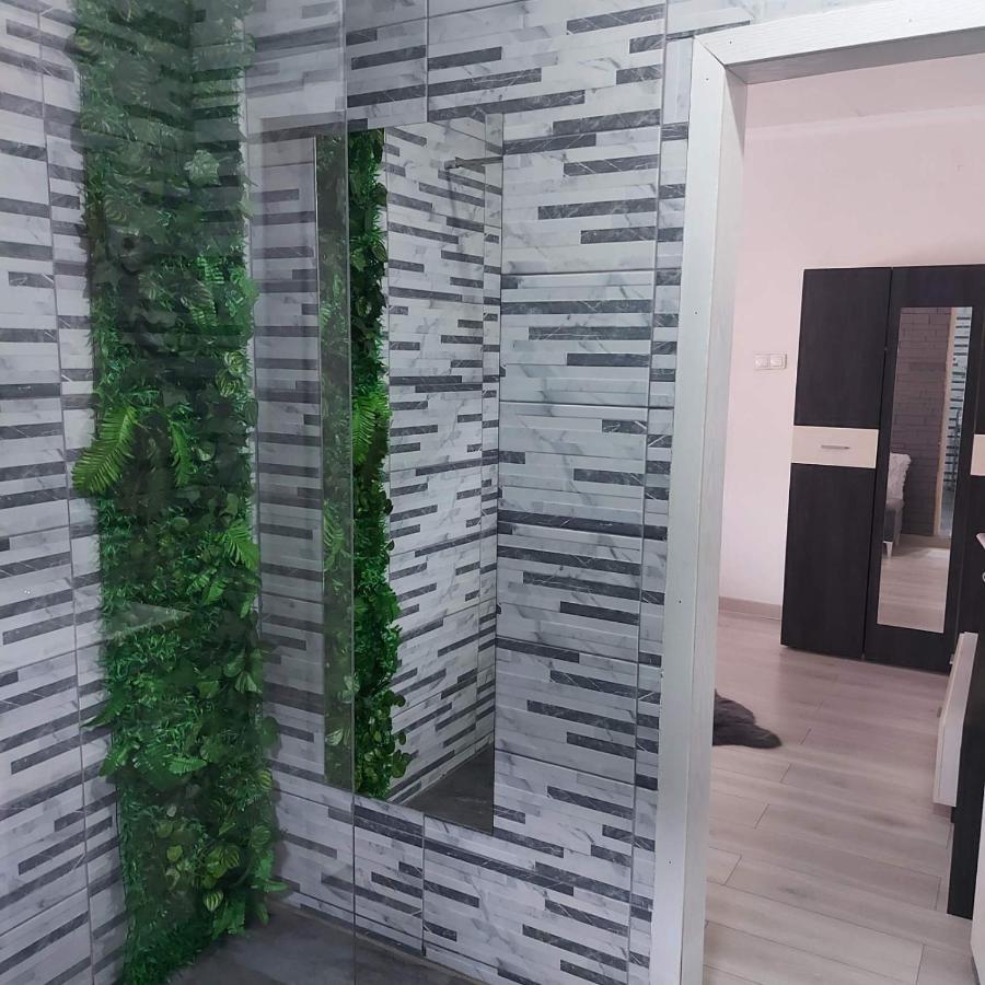 Apartman U Centru Šid エクステリア 写真